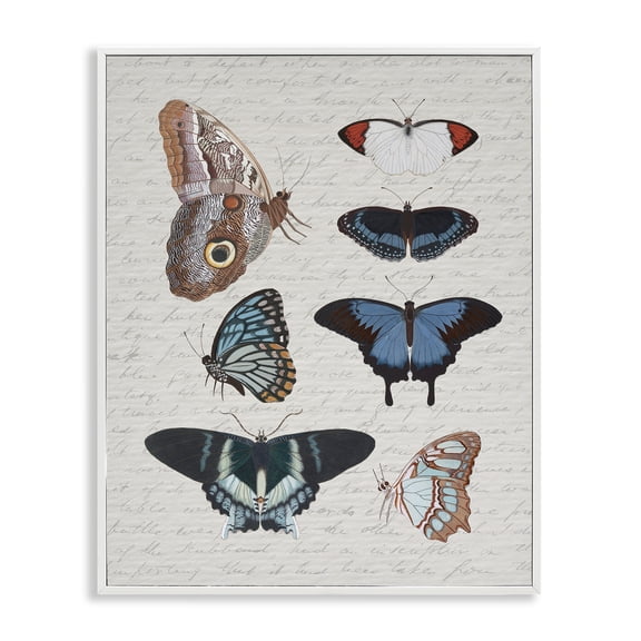 Stupell Industries Shabby Chic Various Vintage Butterflies White Framed Giclee Art, 16 x 20, by Lil' Rue