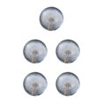 thumbnail image 3 of maskred Resin Crystal Ball Timeless Addition To Collection Crystal Ball With Flower Dandelions 6cm 5Set, 3 of 6