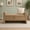 Coffee, variant on Modern Teddy Bed End Bench with Arms, Storage and Metal Accents, Olive Green