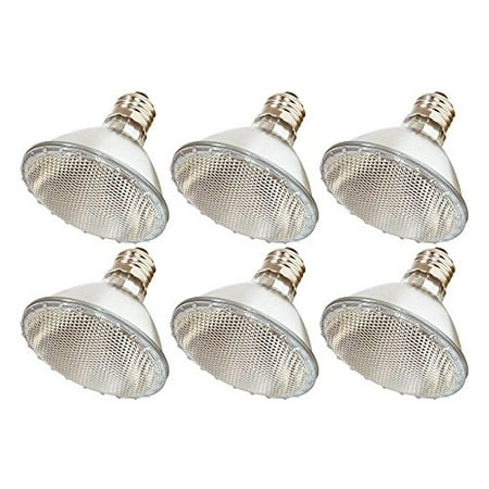 75w Par30 Floodlight - Pack Of 6 60PAR30/FL 120V 60 Watt High Output (75W Replacement) 60W PAR30 Flood 40 Degree Beam Spread 120 Volt Halogen Par 30 Light Bulbs