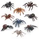 thumbnail image 1 of Juego de figuras de araña realistas, 9 piezas de tarántulas y embudo de PVC, 1 of 3