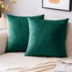 thumbnail image 1 of Fundas de Almohada de Terciopelo EMEMA Paquete de 2 de 61x61 cm Verde, 1 of 6