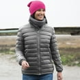 thumbnail image 2 of Result Ladies/Womens Ice Bird Padded Jacket (Water Repellent & Windproof), 2 of 4