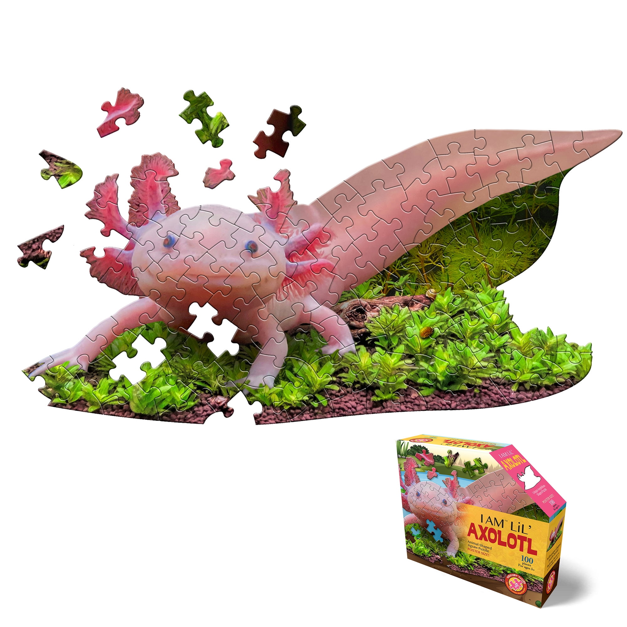 I Am LiL' Axolotl Jigsaw Puzzle, 100 Pieces