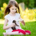 thumbnail image 2 of 2 Ensembles de Biberons d'Allaitement pour Animaux, Biberons pour Chiot, Biberons avec Sucette pour Chaton, Fournitures pour Animaux, 2 of 6