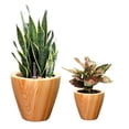 thumbnail image 2 of YINYUN 2-Pack Light Wood Plastic Self-watering Planter Pot,10 in & 5 in, 2 of 5