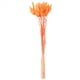 thumbnail image 3 of 60 Piezas de Flores Secas de OtoñO Colas de Conejo Flores Secas Lagurus Ovatus Hierba de Cola de Conejo para Flores Secas (Naranja), 3 of 9
