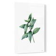thumbnail image 2 of Epic Art 'Eucalyptus IV' by Seven Trees Design, Acrylic Glass Wall Art, 16"x24", 2 of 3