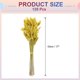 thumbnail image 2 of Uxcell 120pcs Colas de Conejo Naturales Flores Secas 17" Mini Hierba Pampas Lagurus Ovatus Ramo para Decoración Floral de Boda, Amarillo Oscuro, 2 of 6