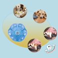 thumbnail image 3 of Pelota para Perros JAMW Chirriante Interactiva TPR Suave para Cachorros Pequeños, 3 of 5