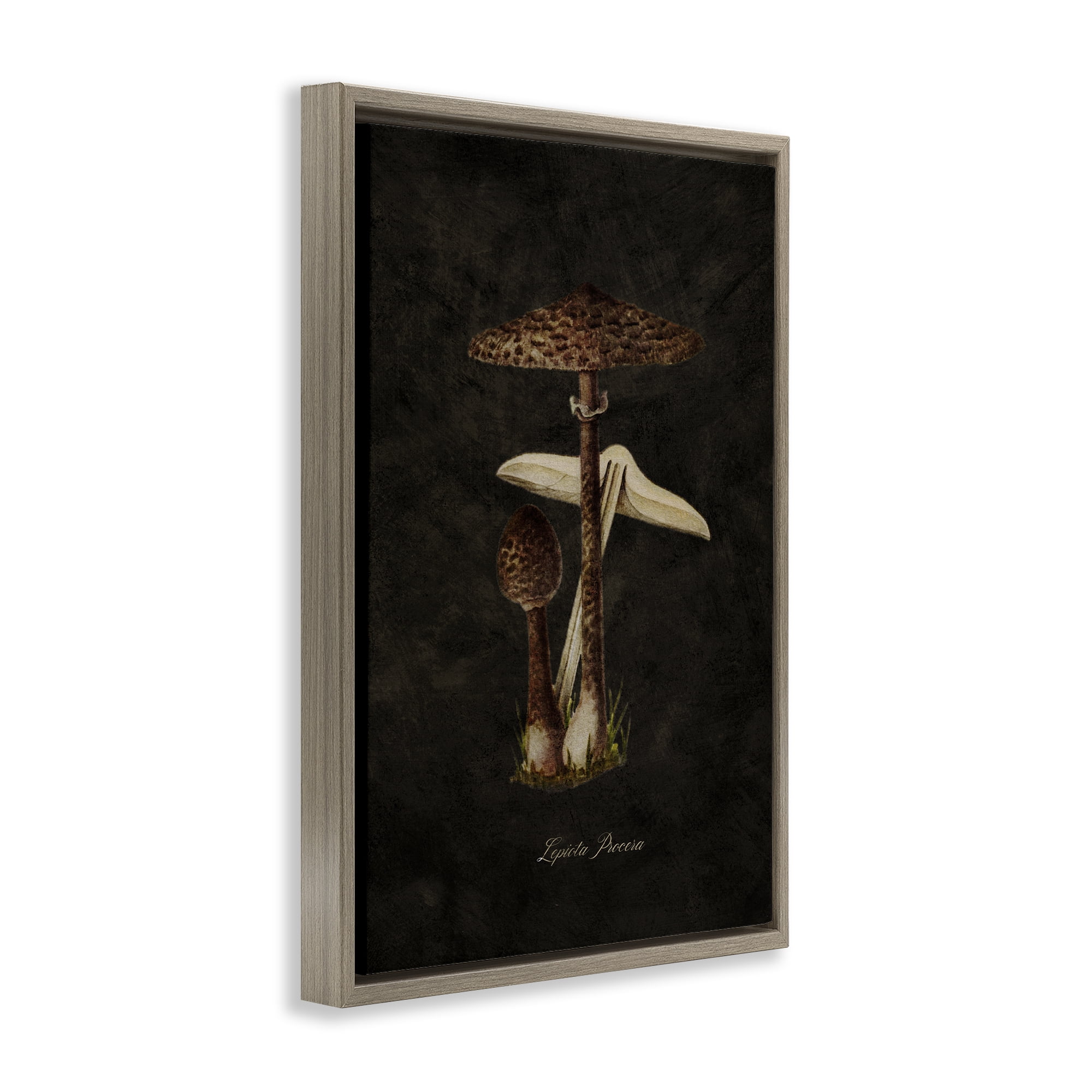 Stupell Industries Dark Woodland Mushroom Plants & Flowers Painting Brown Floater Framed Canvas Art Print Wall Art, 21 x 31