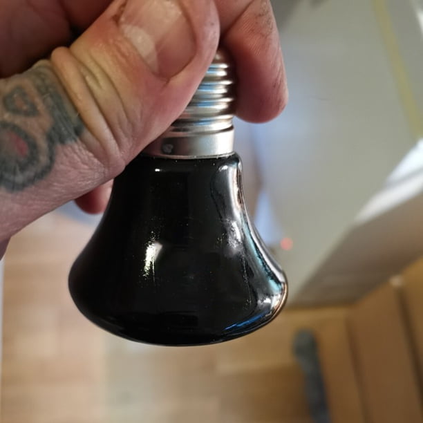 pitrice Infrared Ceramic Heat Emitter Bulb No Light Terrarium Reptile ...