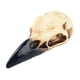 thumbnail image 2 of Figura de calavera de Halloween, adorno de calavera, decoración, collar, decoración de Halloween para 59 mm x 24 mm x 22 mm, 2 of 9