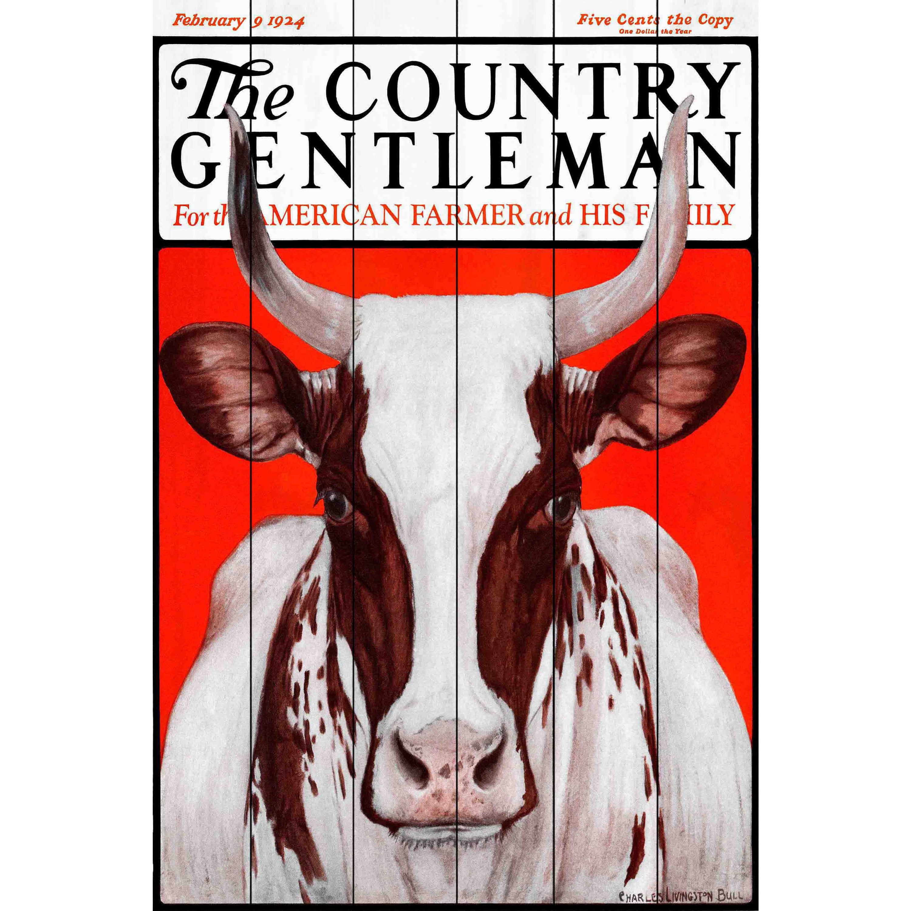 Marmont Hill "CG Cow Brown-White" Painting Print on White Wood