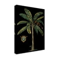 thumbnail image 2 of Trademark Fine Art 'Palm and Crest on Black II' Canvas Art by Vision Studio, 2 of 4