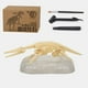 thumbnail image 2 of Fiudx Kit de Excavación de Fósiles de Dinosaurio, Resina, Herramientas de Excavación Incluidas, Simulación Arqueológica Realista, Aprendizaje Práctico, Actividad Stem, Regalo Perfecto, 1 Yeso, 3 Herr, 2 of 2