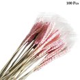 thumbnail image 2 of Bangcool Décor de Blé Naturel Décoratif 100 Pcs Épi de Blé Simple Fleur de Blé Séchée Tige de Blé, 2 of 10