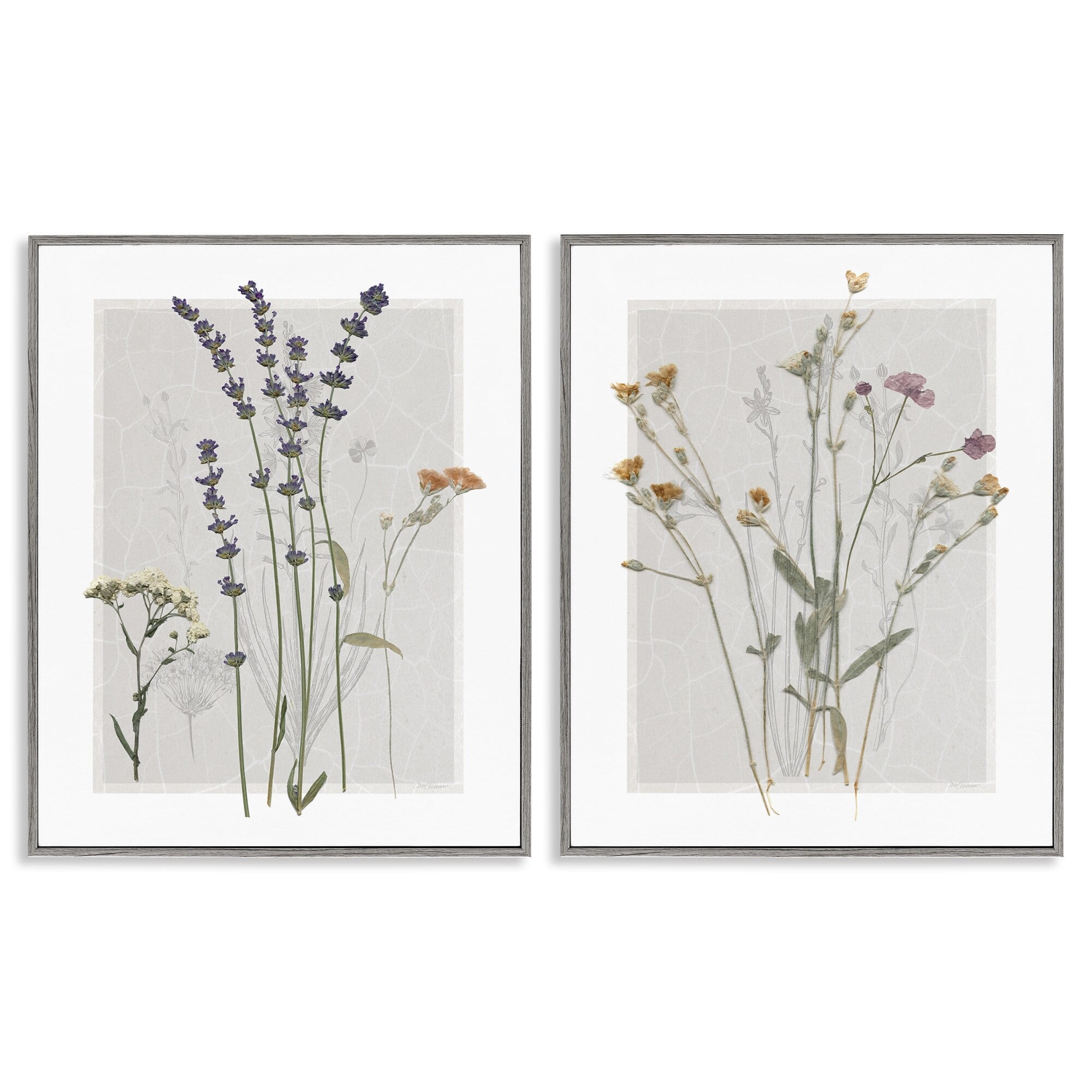 Stupell Industries Delicate Wildflower Herb Sprigs Lavender Nature Botanicals Graphic Art Gray Framed Art Print Wall Art, Set of 2, Design by Carol Robinson