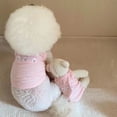 thumbnail image 2 of Adorable Pet Clothes for Cats & Small Dogs - Charming Spring & Autumn Wear, 2 of 2