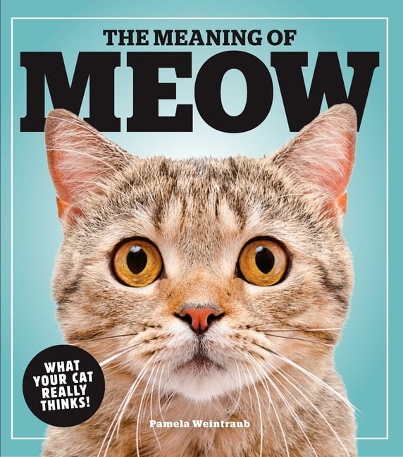 The Meaning of Meow What Your Cat Really Thinks!