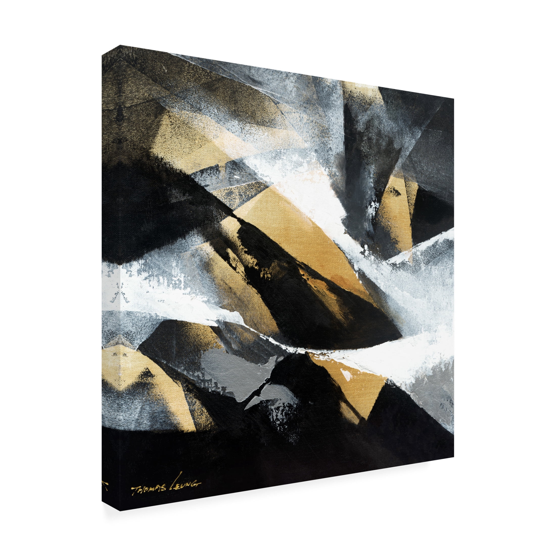 Canvas Wall Art - Thomas Leung 'Gold Fusion 1' Wall Art for Living Room, Bedroom, or Office Décor by Trademark Fine Art - 35 x 35 Inches