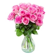Arabella Farm Direct Bouquet of 18 Fresh Cut Pink Roses with a Free Glass Vase