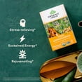 thumbnail image 3 of Té de hierbas ORGANIC INDIA Calmante Tulsi Ashwagandha 54 ml x18, 3 of 7