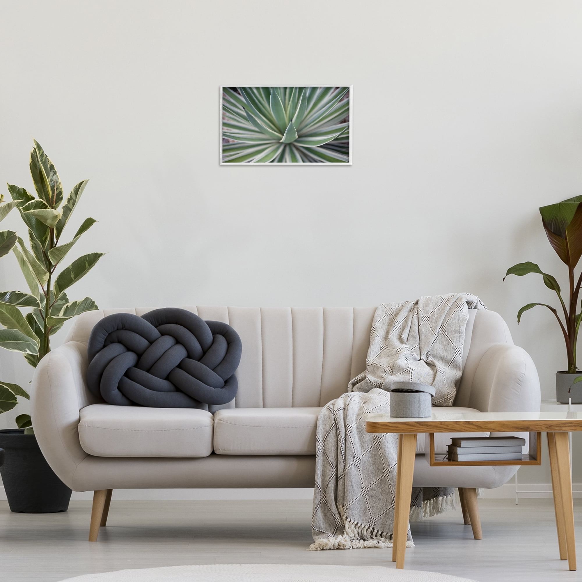 Stupell Industries Striped Plant Leaves Botanical & Floral Photography White Framed Art Print Wall Art, 18 x 12