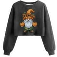 thumbnail image 1 of Ailaofu Women's Sweatshirt Fall Halloween Lantern Long Sleeve Pullover Spooky Season Sweatshirt, 1 of 2
