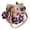 Purple, variant on Handmade Crochet Flower Tote, Knit Floral Purse Bag Boho Beach Handbags Crossbody Shoulder Bag for Women Vacation, Gift for Women Mom, Brown