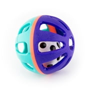 Sassy Shake Rattle & Roll Gift Set