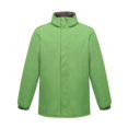 thumbnail image 1 of Regatta - Chaqueta softshell impermeable modelo Aledo para mujer (Verde/gris) Regatta UTRG2171_P, 1 of 1