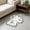 B, variant on Spooky-Cute Halloween Area Rug – 24"x16" Non-Slip Plush Doormat for Entryway, Bathroom & Seasonal Home Decor