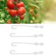 thumbnail image 3 of Ganchos de Tomate, Fácil de Usar Cantidad de Alta Resistencia Junduta J Veggesres J Clips de Soporte de Gancho Para Invernadero para la Agricultura, 3 of 7