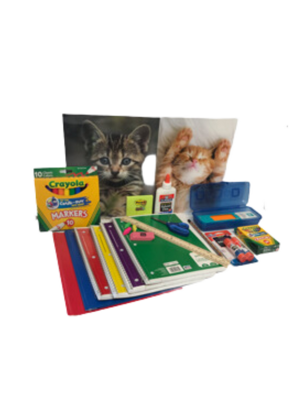 Bulk School Supplies in School Supplies
