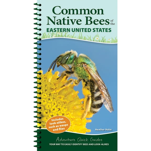 Adventure Quick Guides Common Native Bees of the Eastern United States: Your Way to Easily Identify Bees and Look-Alikes, (Spiral-Bound)