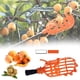 thumbnail image 3 of Rawiri Invernadero Recolector de Plástico Recolector de Frutas Herramienta Recolectora Jardinería Granja Equipo de Jardín Dispositivo de Recolección Herramienta de Invernaderos de Jardín (Tamaño: 1PC, 3 of 6