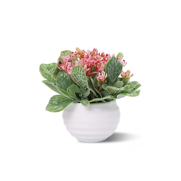 Pequeñas plantas de plástico artificiales Set Mini flores de imitación en maceta y hojas verdes UHUSE plantas artificiales