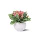 thumbnail image 1 of Pequeñas plantas de plástico artificiales Set Mini flores de imitación en maceta y hojas verdes UHUSE  plantas artificiales, 1 of 11