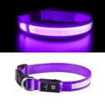 thumbnail image 5 of MASBRILL Flashing Light LED Dog Collars Waterproof with Rechargeable Adjustable Glowing Flash Dog Collar Night Safety Light up Dog Collar for Small/Medium/Large Dog Collar Purple-L, 5 of 7