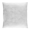 thumbnail image 1 of RELLENO ALMOHADA EUROPEA XL BALANCE Vianney XL Balance;Relleno de Almohada;Europea, 1 of 2