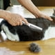 thumbnail image 4 of Peine de doble cara Dualoai para perros | Cepillo de acero inoxidable para el cuidado de mascotas, gatos y perros | Peine desenredante para pelaje largo y corto | Elimina el pelo suelto y la caspa |, 4 of 5