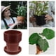 thumbnail image 5 of KAKOWELY 10 macetas de plástico reutilizables para vivero con bandeja., 5 of 5