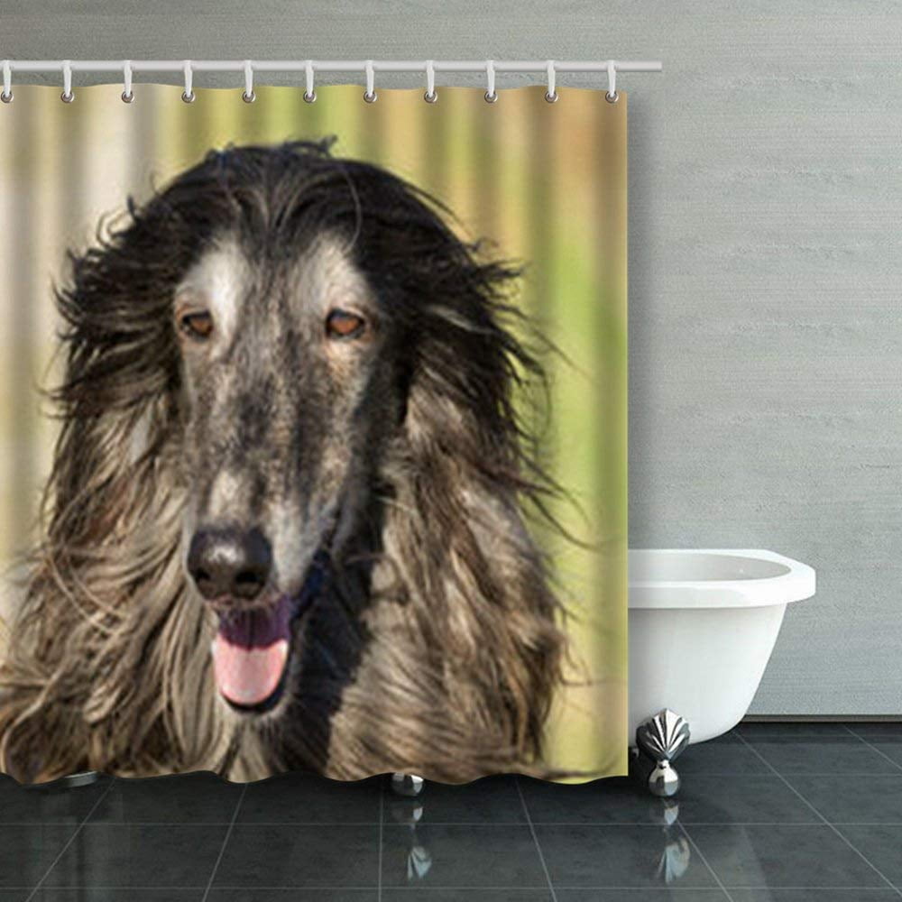BPBOP Afghan Hound Hunting Shower Curtains Bathroom Curtain 66x72 Inch