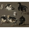 thumbnail image 3 of Melchior d'Hondecoeter 17x15 Black Modern Framed Museum Art Print Titled - Seven Chicks (C. 1665 - C. 1668), 3 of 5