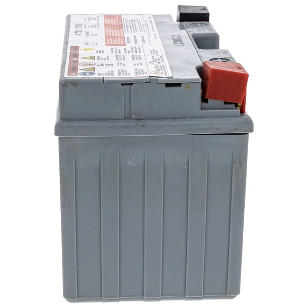 CUB CADET Battery 210cca 11AHR for Ultima ZT1 ZT2 ZTS1 ZTS2 ZTX4
