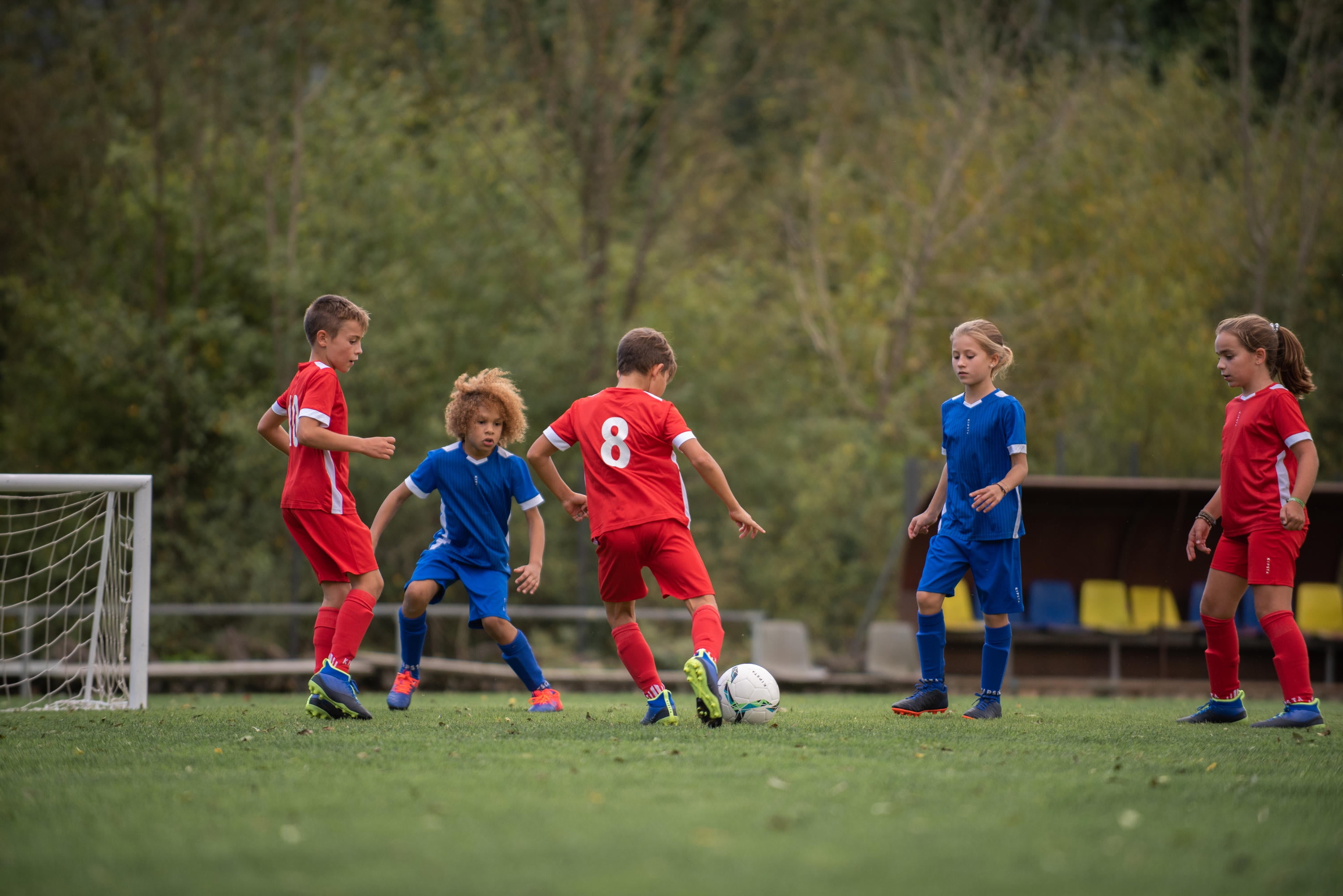 kipsta soccer cleats