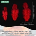 thumbnail image 3 of Uxcell Lot de 100 Plumes pour Artisanat, Plumes Naturelles Moelleuses Rouges de 1.57-3.15 Pouces pour Décorations de Mariage, 3 of 6