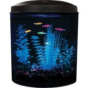 Aquarius Aquarium