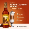 thumbnail image 2 of Caramel Skinny Syrup Salé Moka, 2 of 4